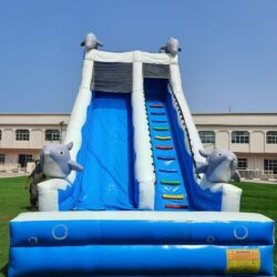Bouncy Castle